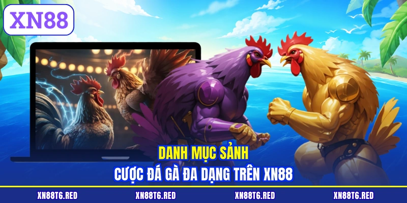 Danh mục sảnh cược đá gà đa dạng trên XN88